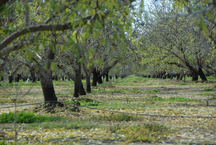 Allen Rd, Snelling, CA 95369