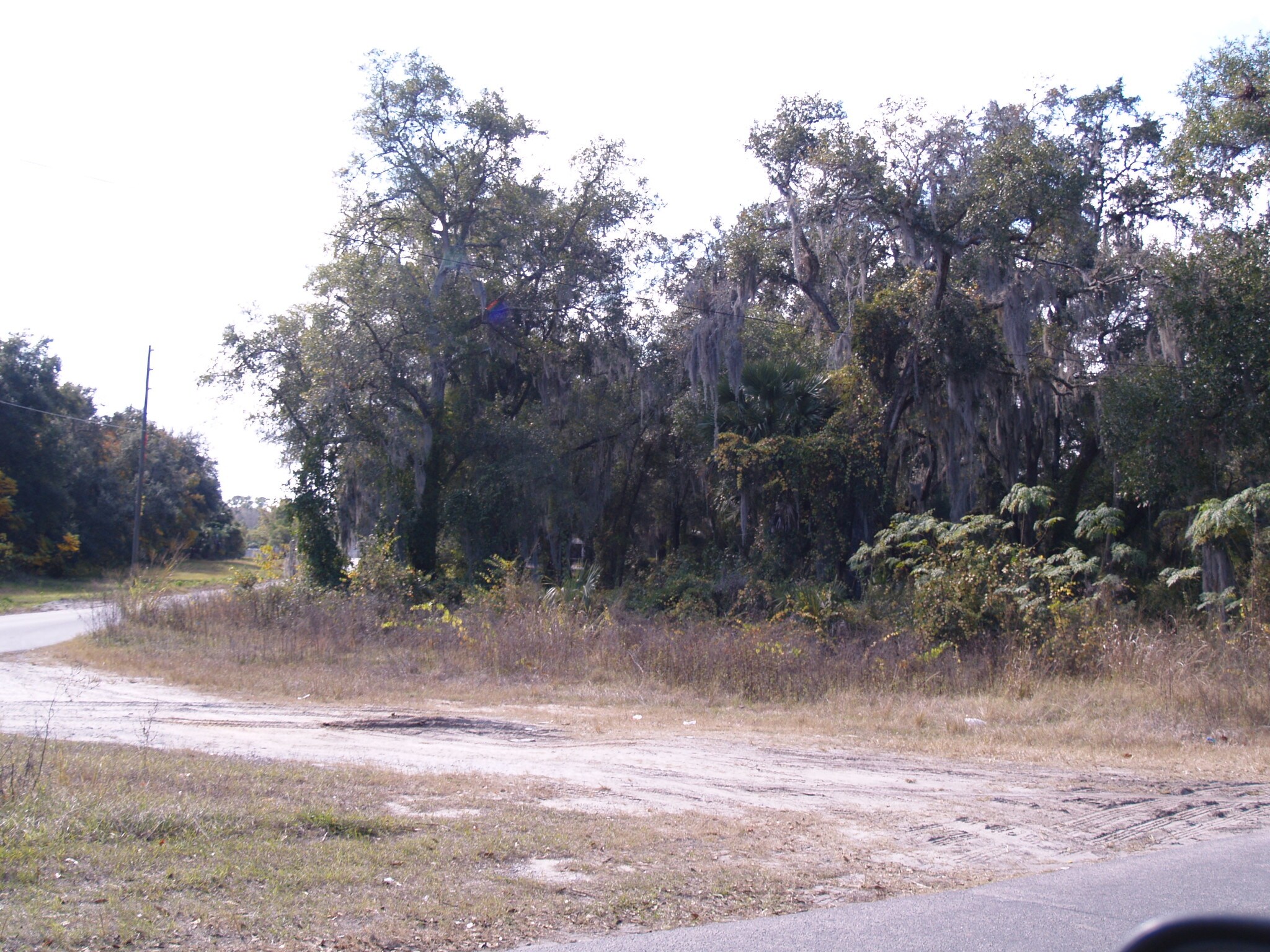 Yalaha Rd, Yalaha, FL for sale Building Photo- Image 1 of 1