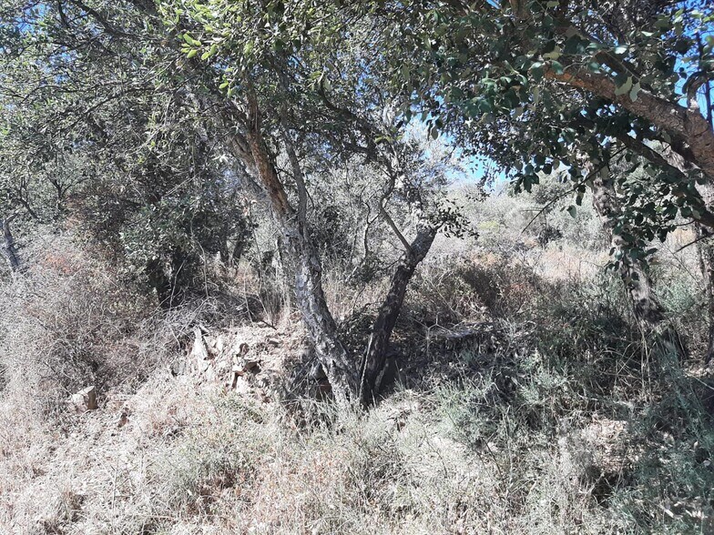 Land in Sierra de Fuentes for sale - Building Photo - Image 3 of 17