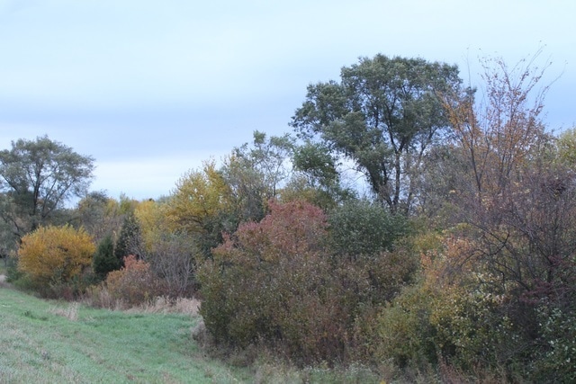 Lot 1 Fabyan, Elburn, IL for sale - Primary Photo - Image 1 of 7