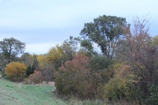 More details for Lot 1 Fabyan, Elburn, IL - Land for Sale