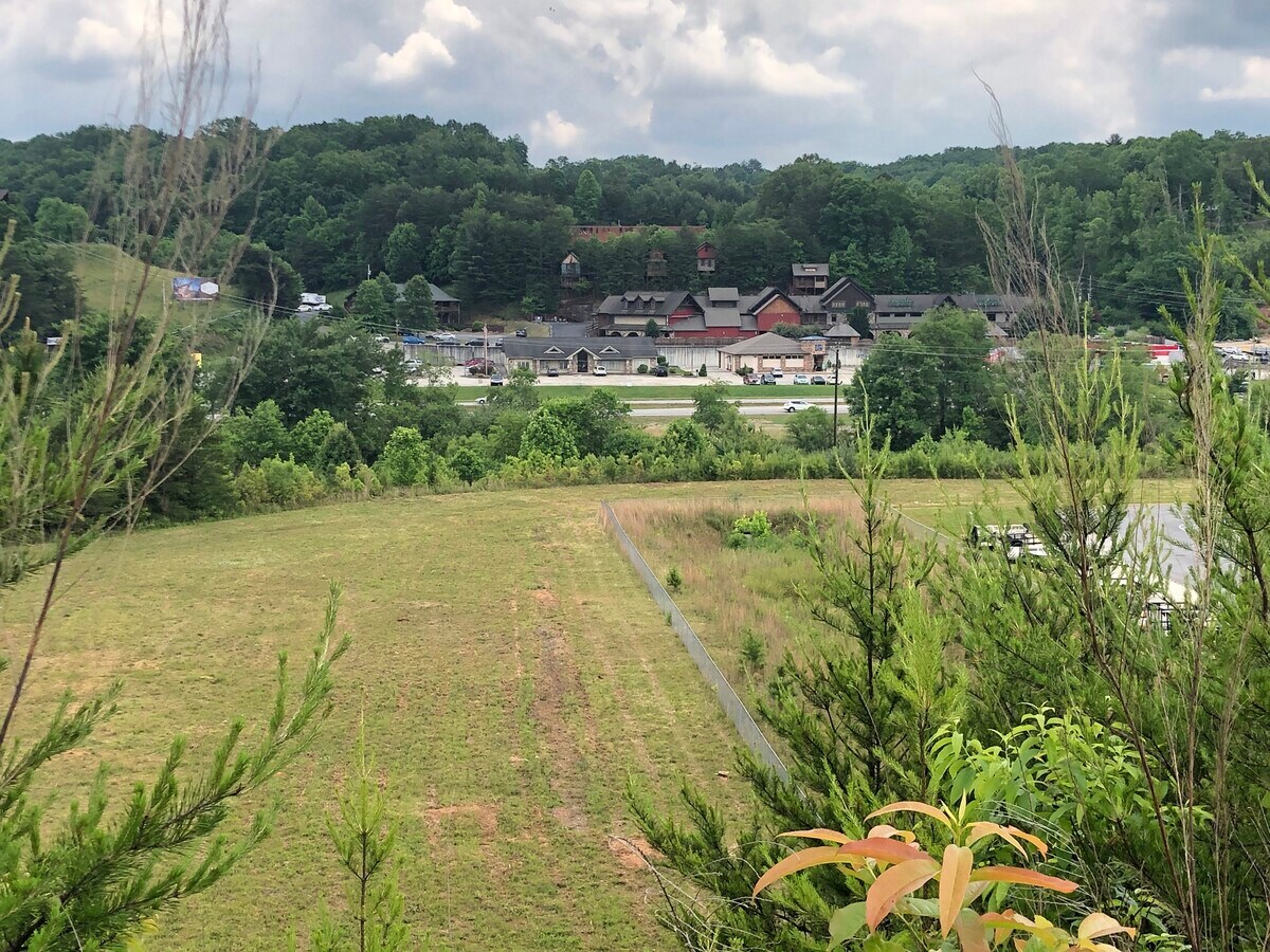 View Photo