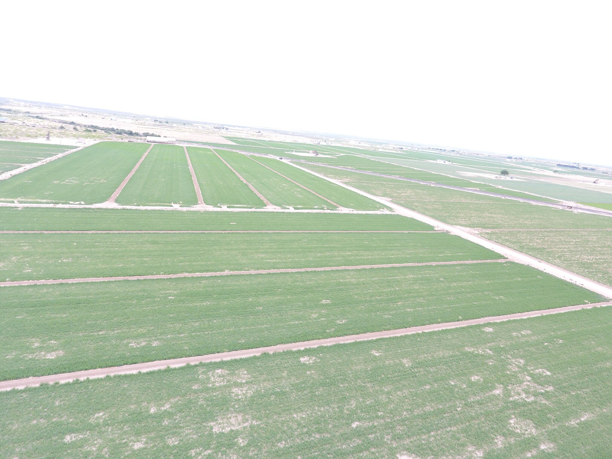 26 14 &10 Nymeryer Rd, Loving, NM for sale Aerial- Image 1 of 1