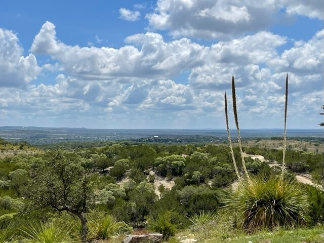 217 Saddle Wood Trl, Comfort, TX for sale - Building Photo - Image 3 of 34