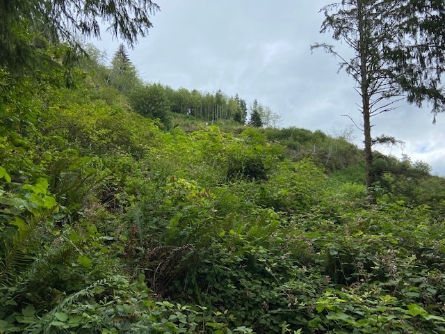 TL 203 Beaver Creek, Seal Rock, OR for sale Other- Image 1 of 13