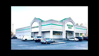 Dollar Tree,NNN Retail Subleased by Walgreens - NNN Property