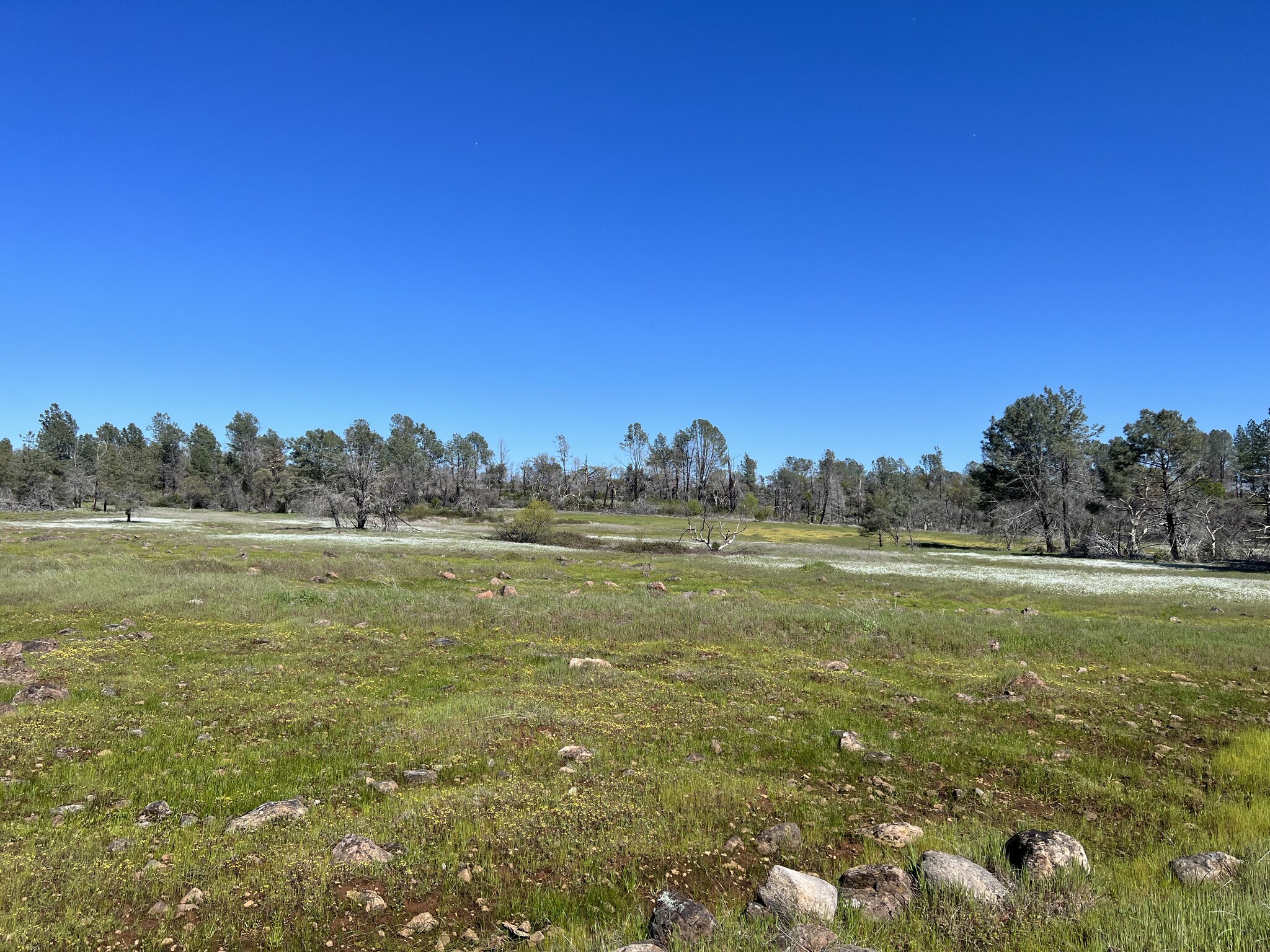 0 Lindenbaum, Paradise, CA for sale Primary Photo- Image 1 of 10