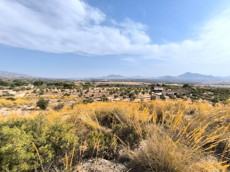 Land in Sax for sale - Building Photo - Image 1 of 6