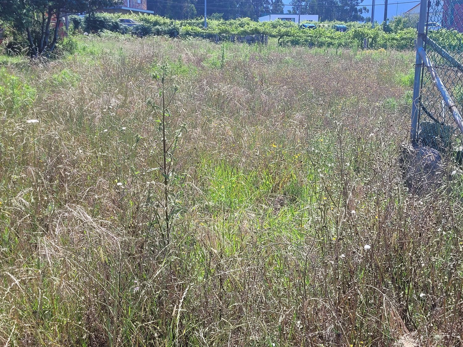 Land in Cambados, Pontevedra for sale Building Photo- Image 1 of 10