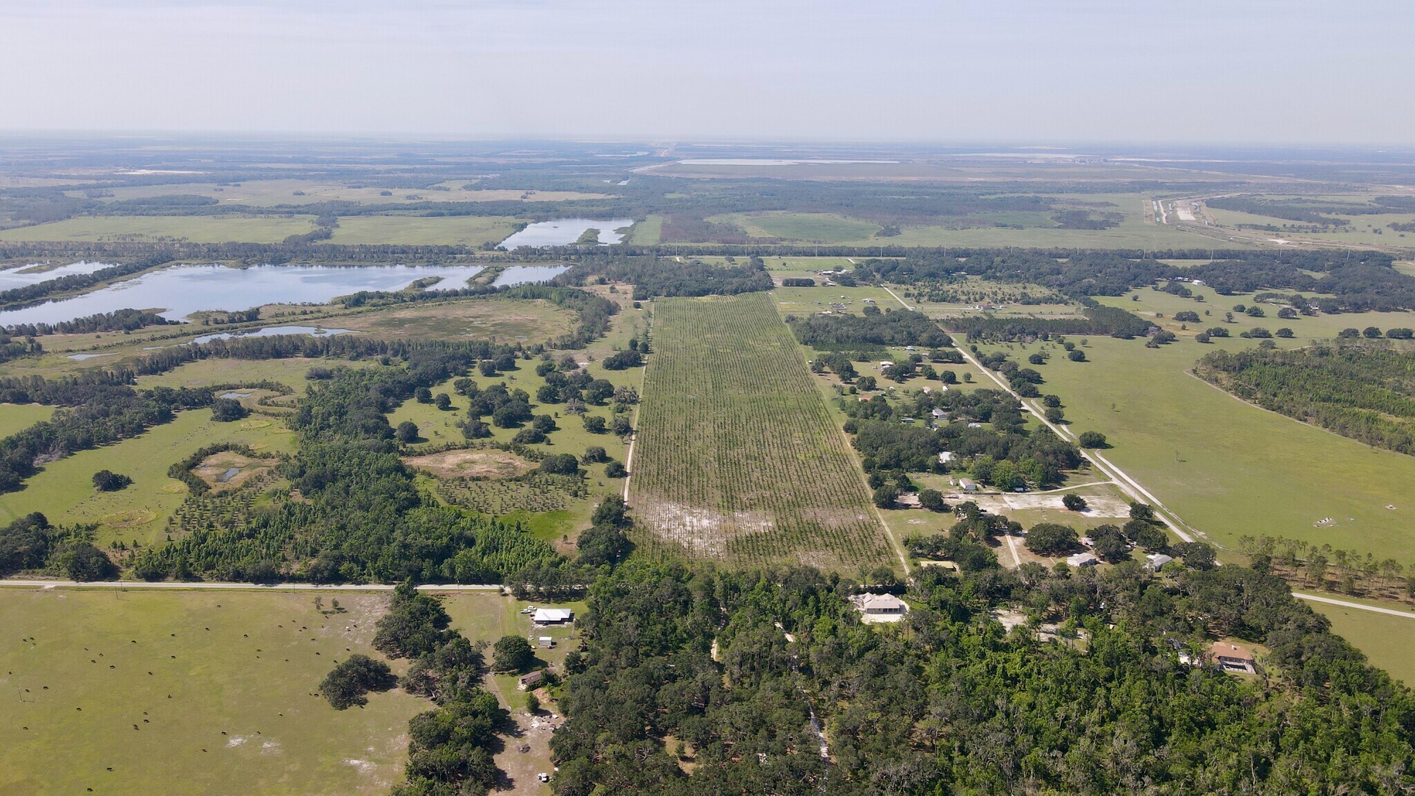 Albritton Rd., Lithia, FL 33547 60 ac Farm in Lithia