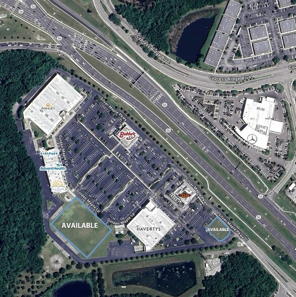 I-75 & SR 56, Wesley Chapel, FL for lease - Building Photo - Image 1 of 3