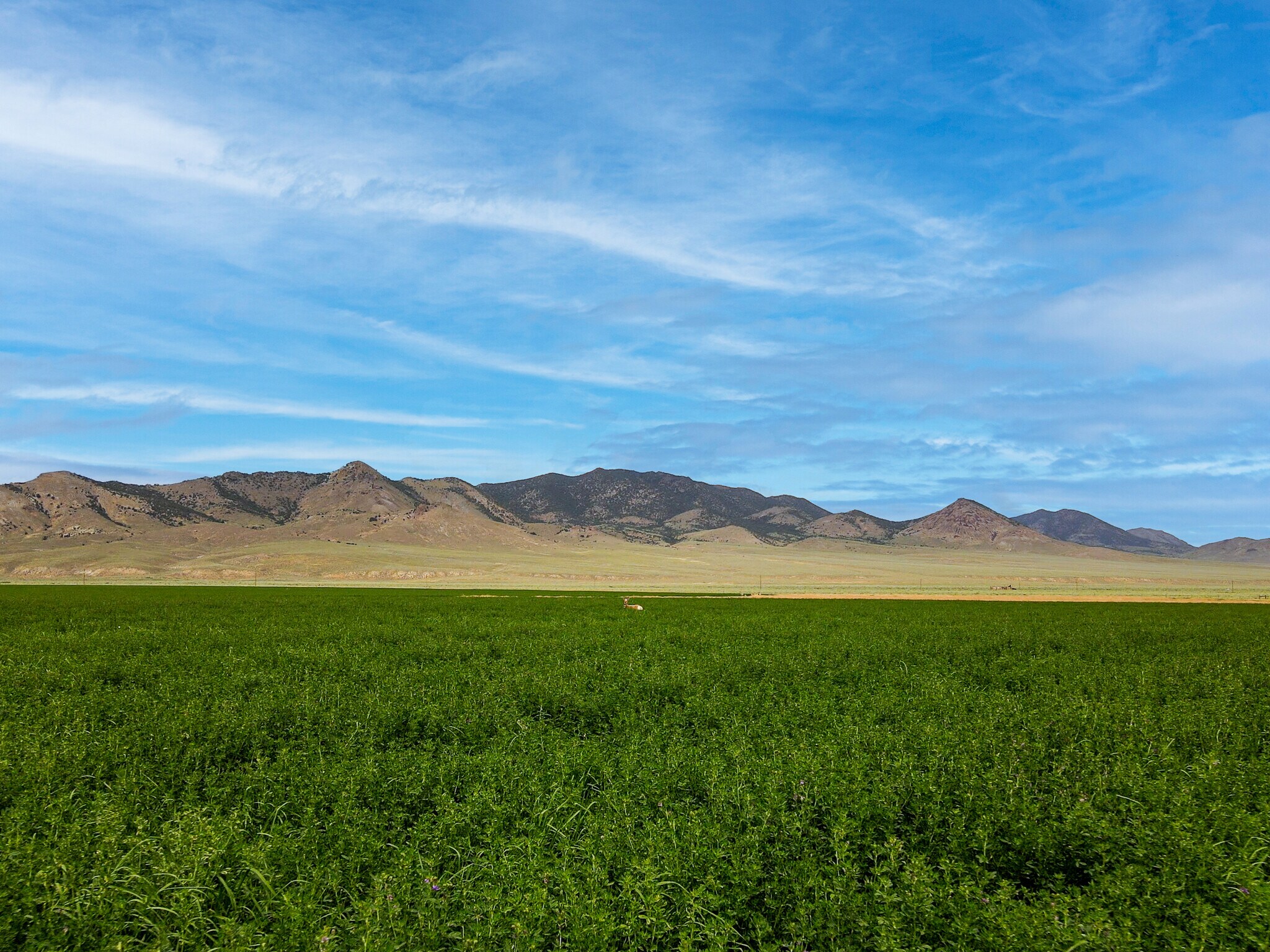 0 Austin Road, Austin, NV 89310 Land for Sale