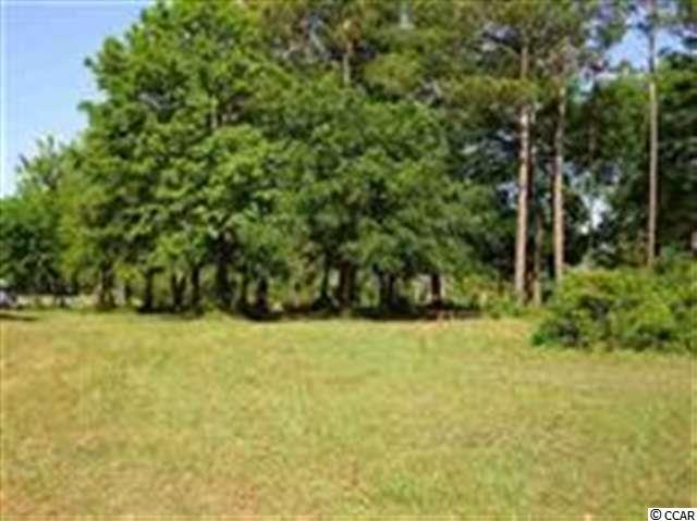 View Photo