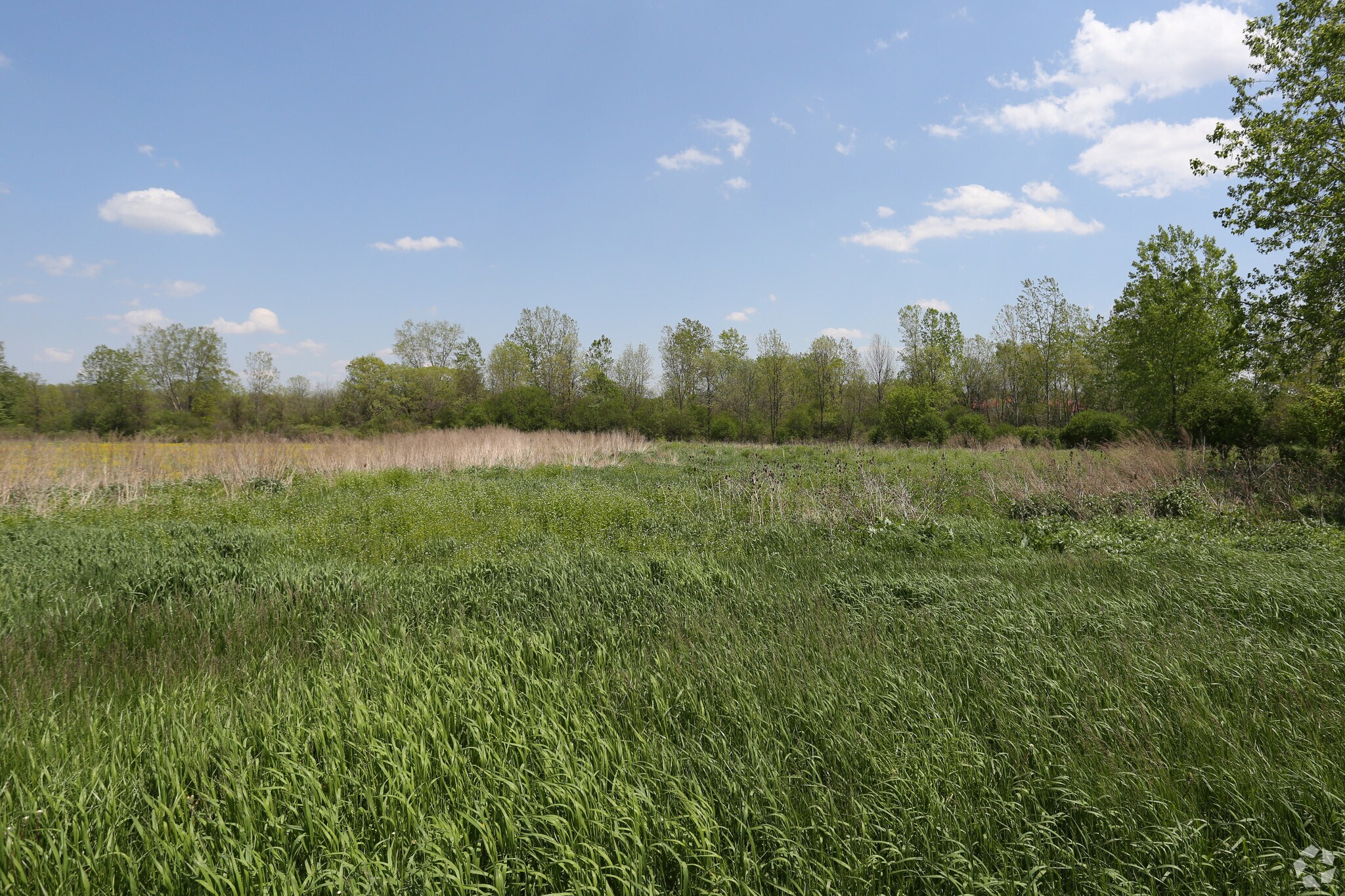 3101 County Rd 10, Canandaigua, NY for sale Primary Photo- Image 1 of 1