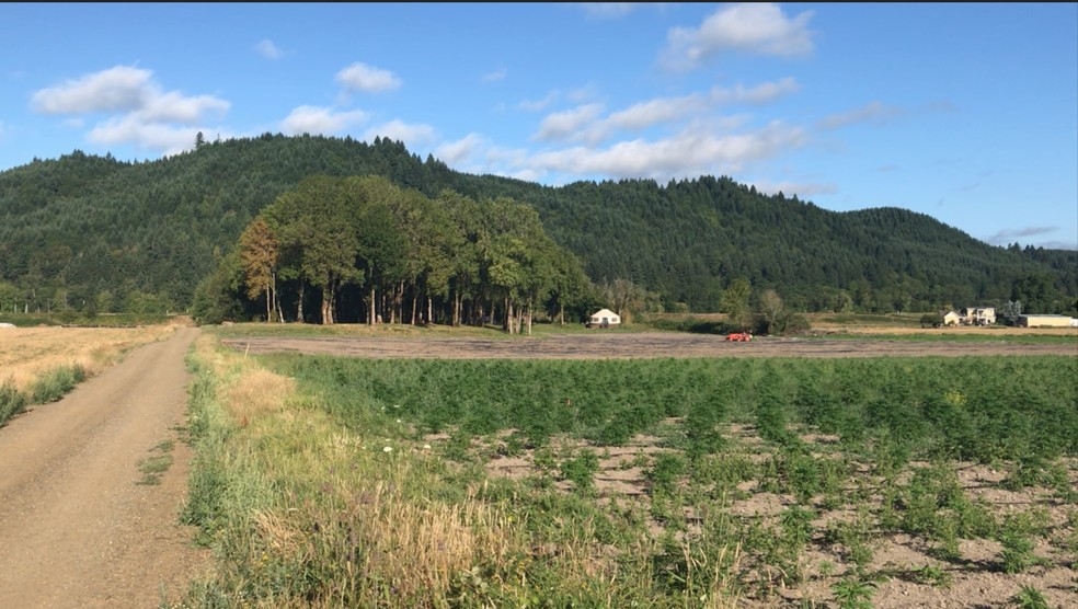 NW Sauvie Island Rd, Portland, OR for lease - Building Photo - Image 2 of 28