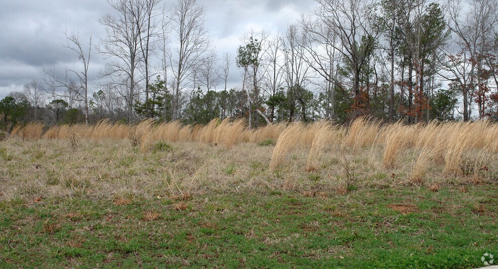 1502 Alex Dr, Birmingham, AL for sale - Primary Photo - Image 1 of 1