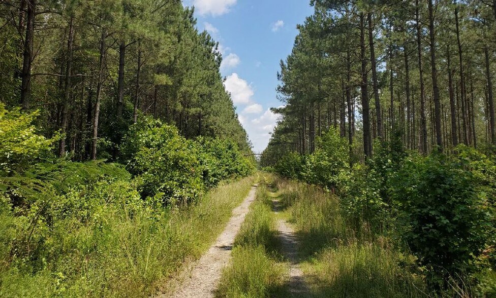 Salisbury Rd, Spring Grove, VA 23881