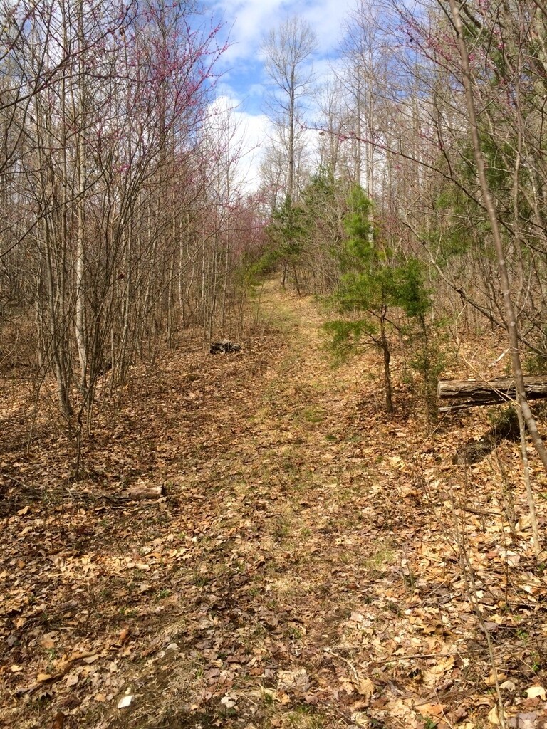 Chestnut Ridge Rd, Millboro, VA 24460