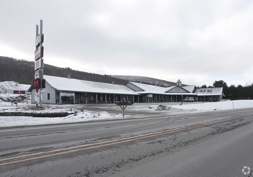 7352 State Highway 23, Oneonta, NY for sale - Primary Photo - Image 1 of 1