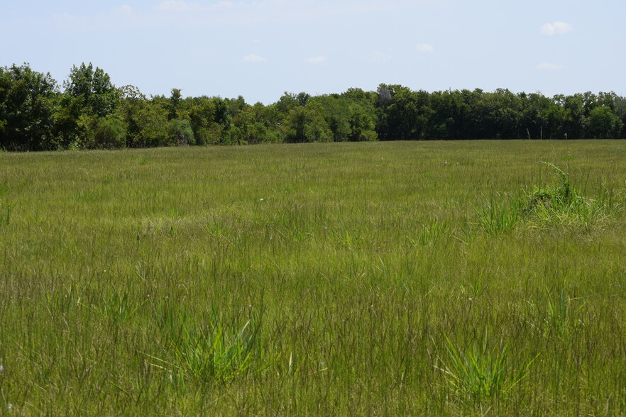 9621 FM 521, Rosharon, TX for sale - Primary Photo - Image 1 of 7