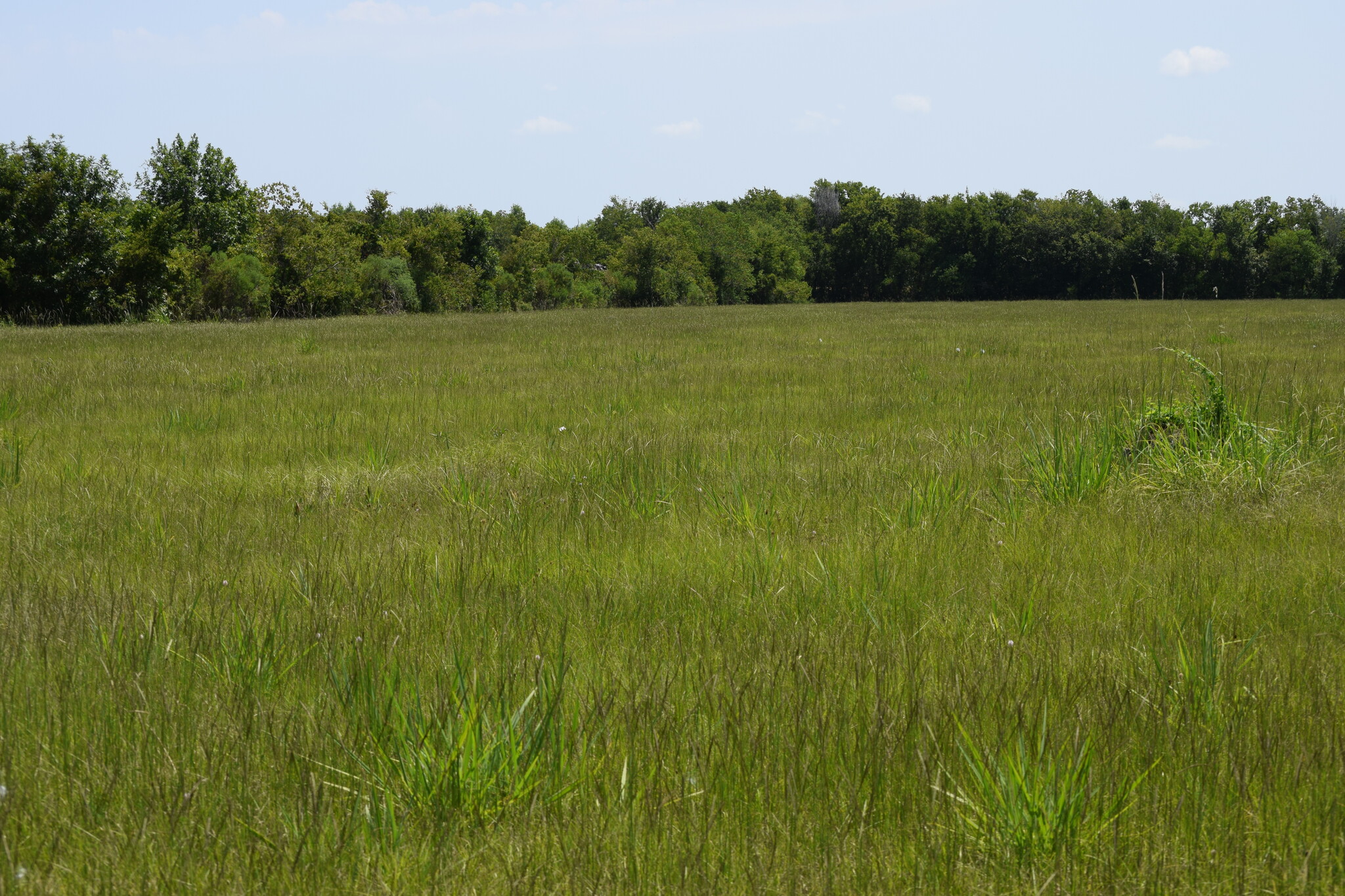 9621 FM 521, Rosharon, TX for sale Primary Photo- Image 1 of 8