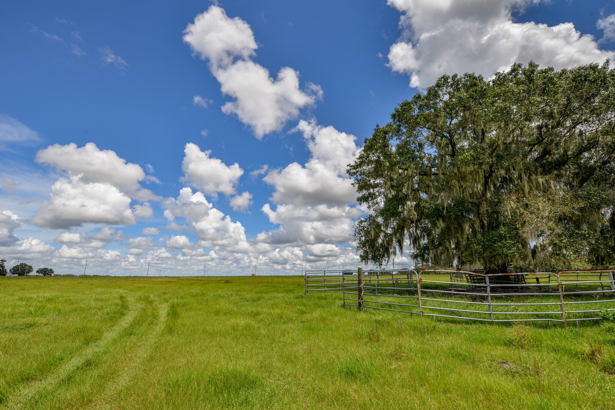 0 State Road 674, Lithia, FL for sale Primary Photo- Image 1 of 1