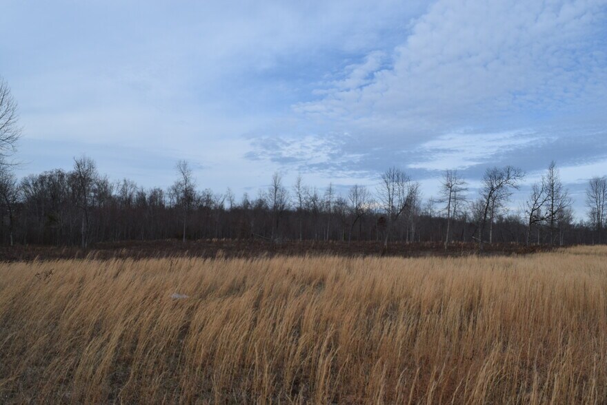 Interstate Dr, Manchester, TN 37355