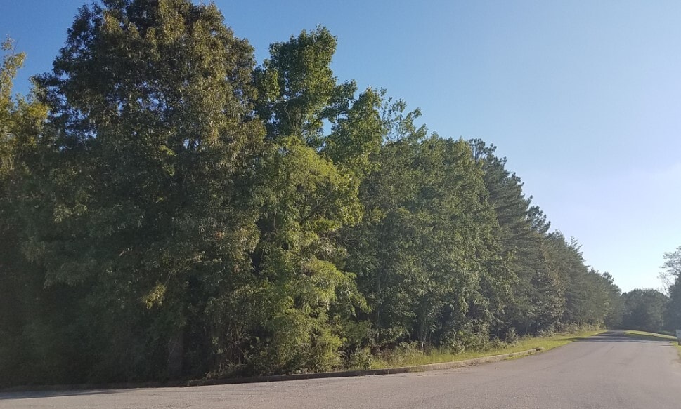 Thames Ave, Lexington Park, MD for sale - Building Photo - Image 2 of 5