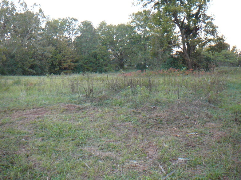 502 N Calhoun St, Calhoun Falls, SC for sale - Building Photo - Image 2 of 5