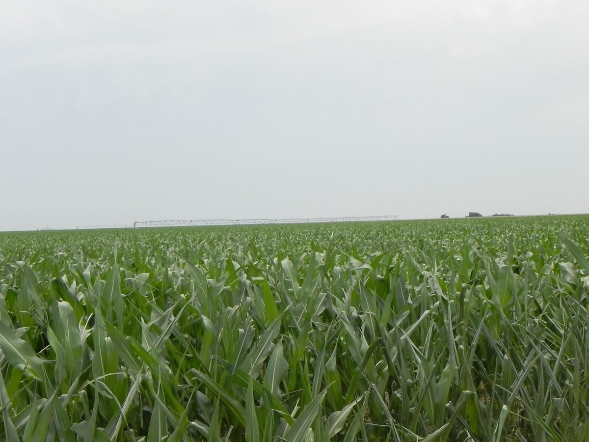 960 Acres In Cimarron County Ok, Texhoma, OK 73949 Land for Sale