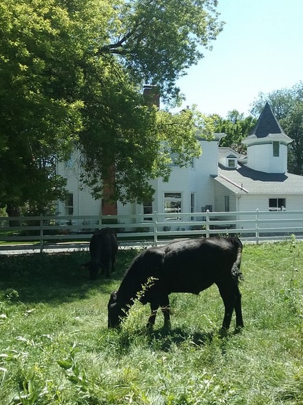 10500 S 1300 W, South Jordan, UT for lease - Building Photo - Image 2 of 10