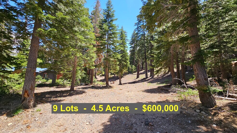 83-241 Lost Lane, Mammoth Lakes, CA for sale - Other - Image 1 of 15