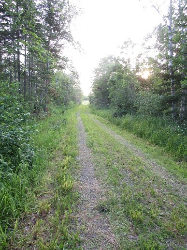 Tangle Ridge Rd, Perham, ME for sale - Primary Photo - Image 1 of 1