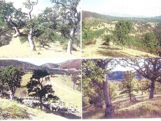 540 Old Long Valley Rd, Clearlake Oaks, CA for sale - Primary Photo - Image 1 of 1