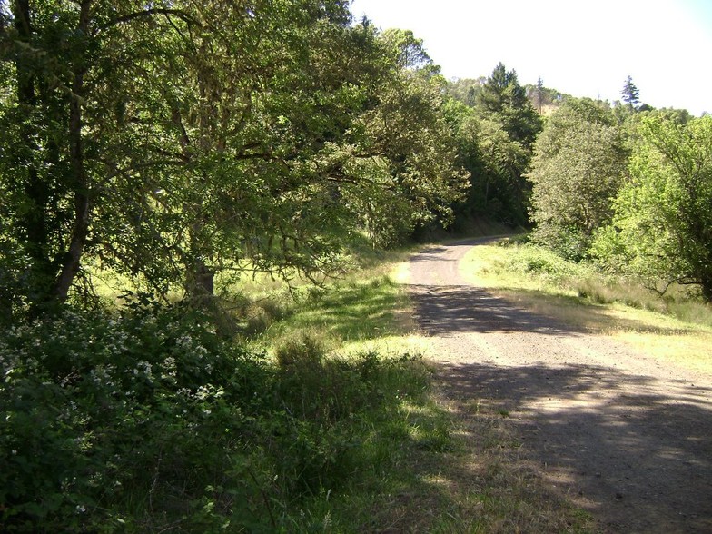 Newton Creek Rd, Roseburg, OR for sale - Other - Image 1 of 6