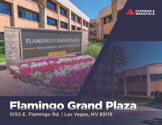 Flamingo Grand Plaza - Commercial Real Estate