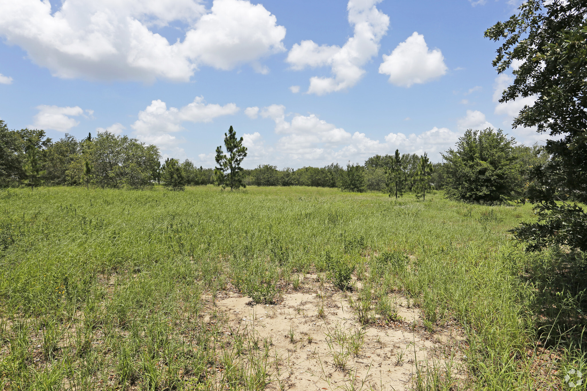 3201 Desoto Rd, Sebring, FL for sale Building Photo- Image 1 of 5