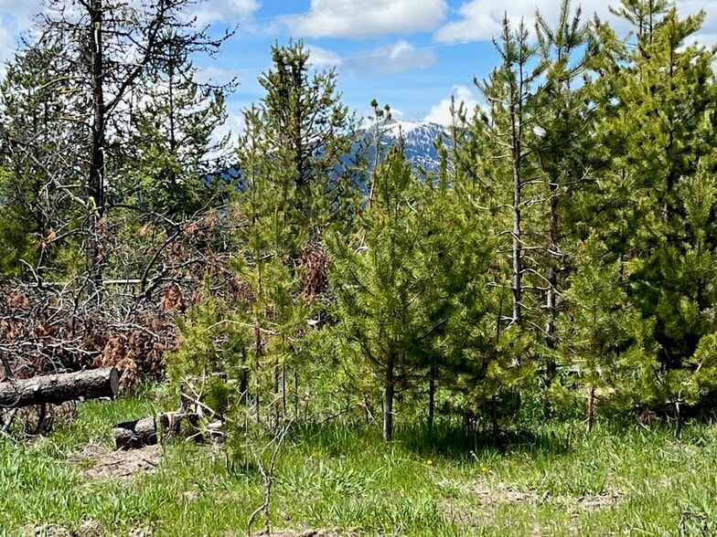 13480 & TBD Gunsmoke Rd, Mccall, ID for sale - Building Photo - Image 2 of 6