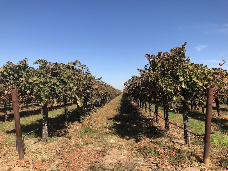 5150 E Peltier Rd, Acampo, CA for sale - Other - Image 1 of 1