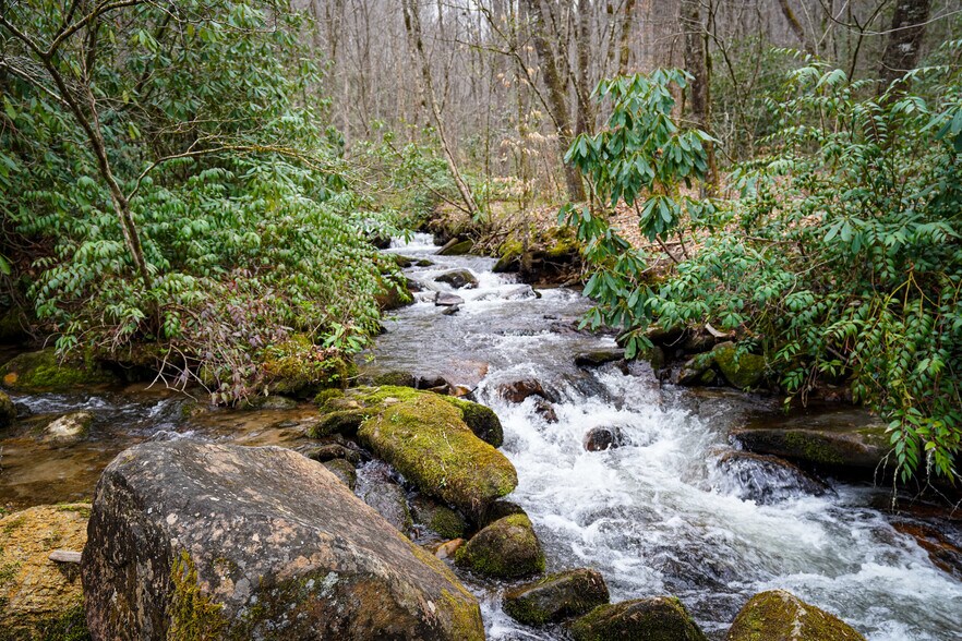 1005 Trout Creek Rd, Tuckasegee, NC for sale - Building Photo - Image 3 of 3