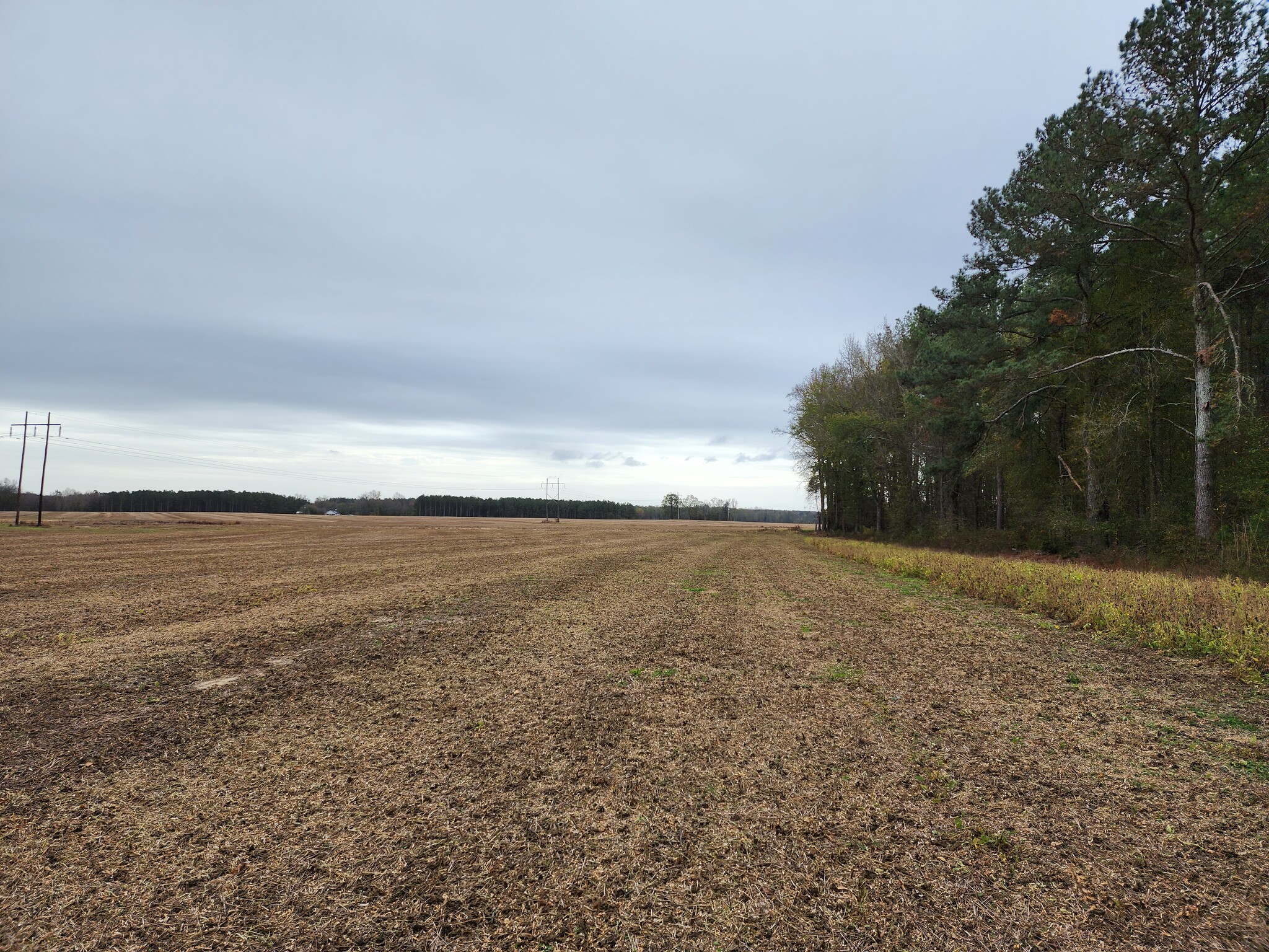 6527 Grassy Island Rd, Mount Gilead, NC for sale Primary Photo- Image 1 of 1