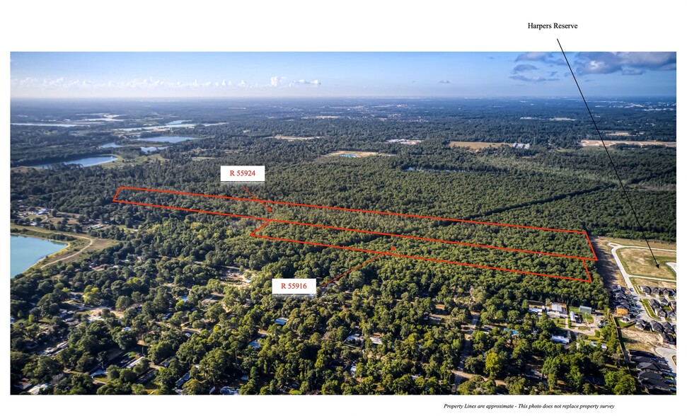 53.8 Acres off Hwy 242, Conroe, TX for sale - Primary Photo - Image 2 of 6