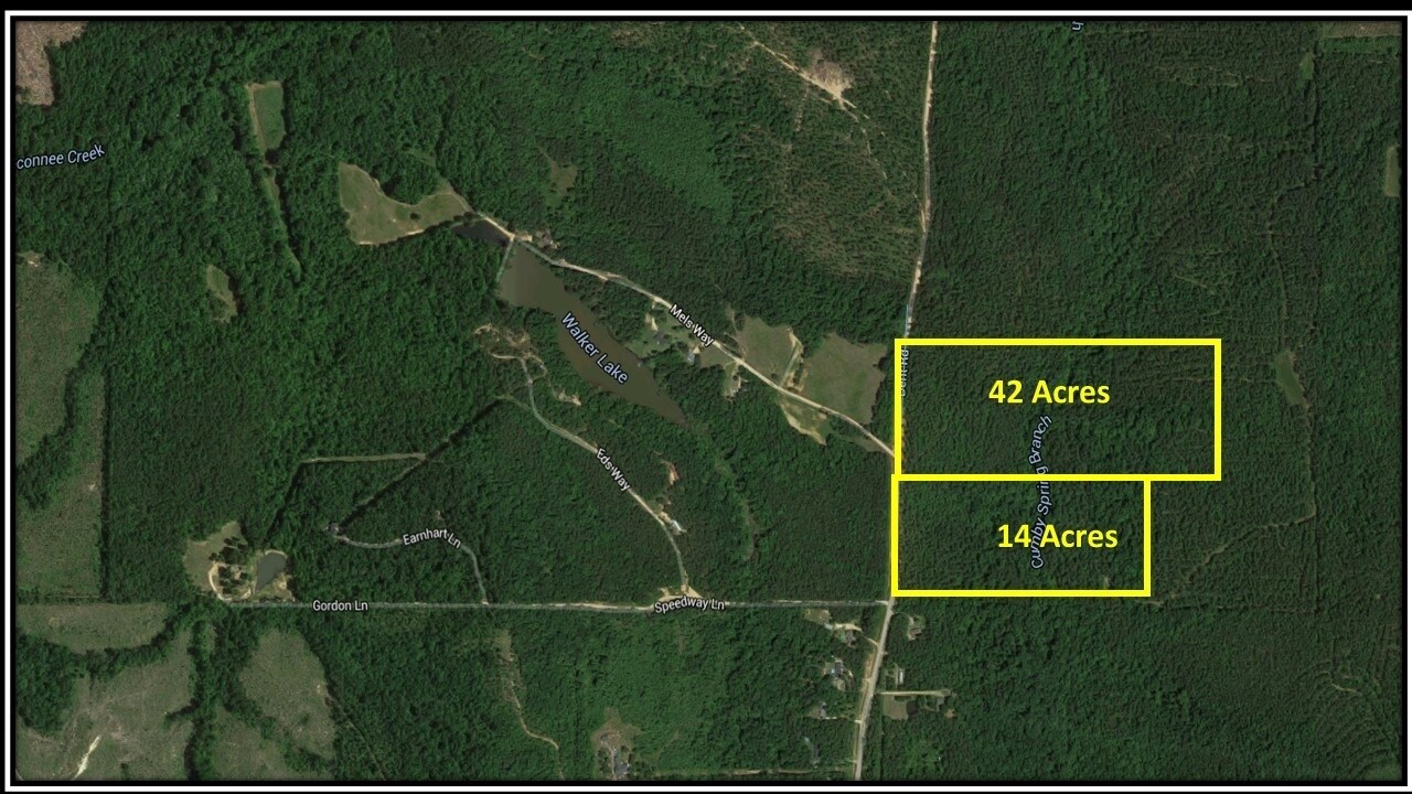 NEC Gordon Ln & Dent Rd, Musella, GA for sale Primary Photo- Image 1 of 1