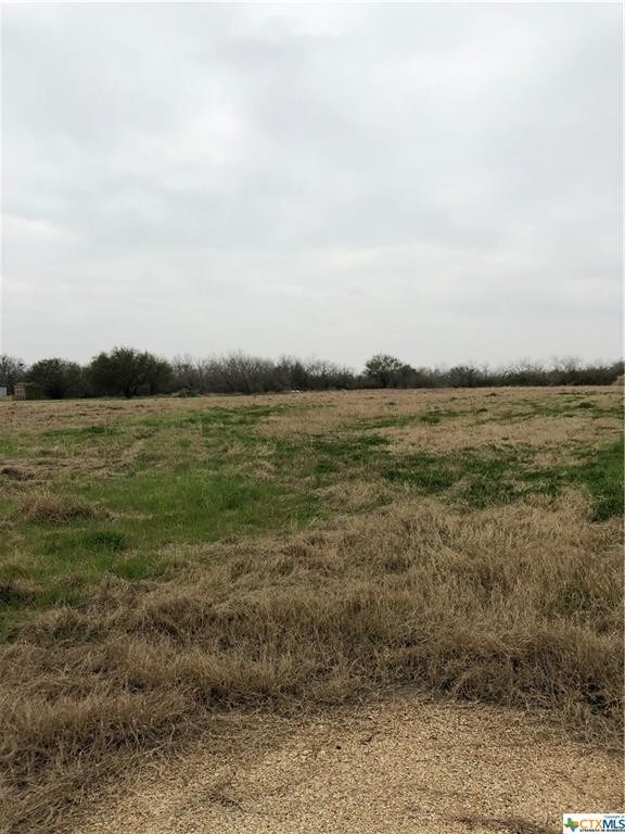 500 N Nixon Ave, Nixon, TX 78140