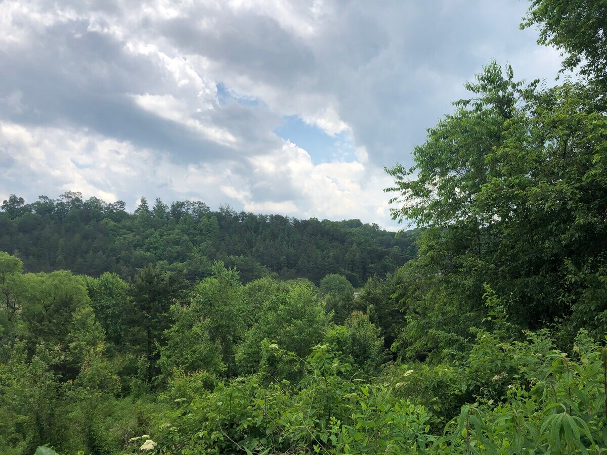 View Photo