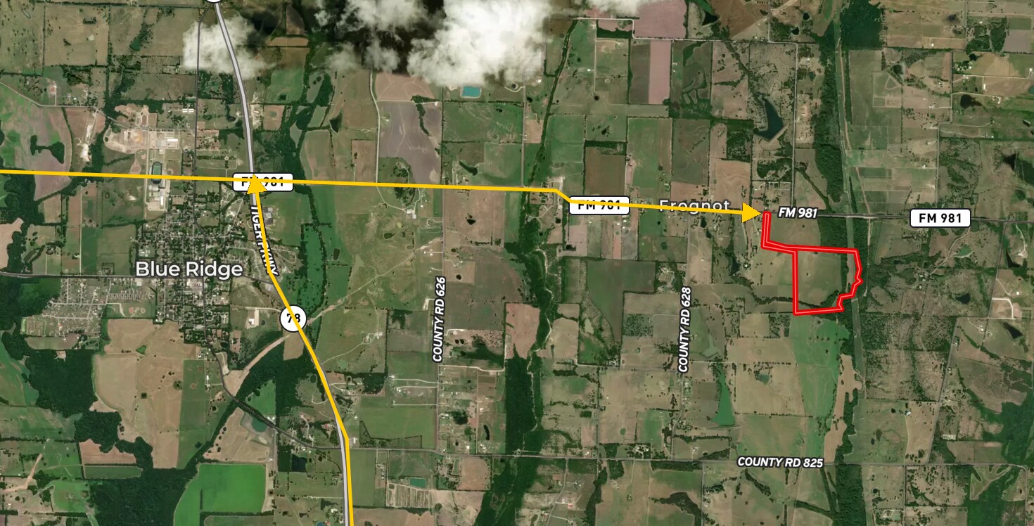FM 981, Blue Ridge, TX 75424