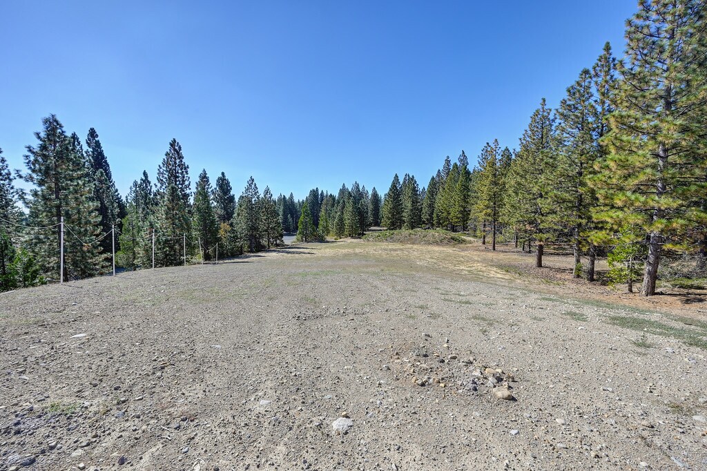 View Photo