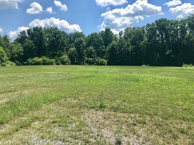 2965 US HWY 431, Boaz, AL for sale Primary Photo- Image 1 of 1