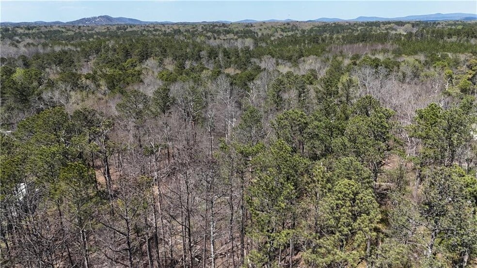 0 King Camp Rd, Acworth, GA for sale - Primary Photo - Image 1 of 12