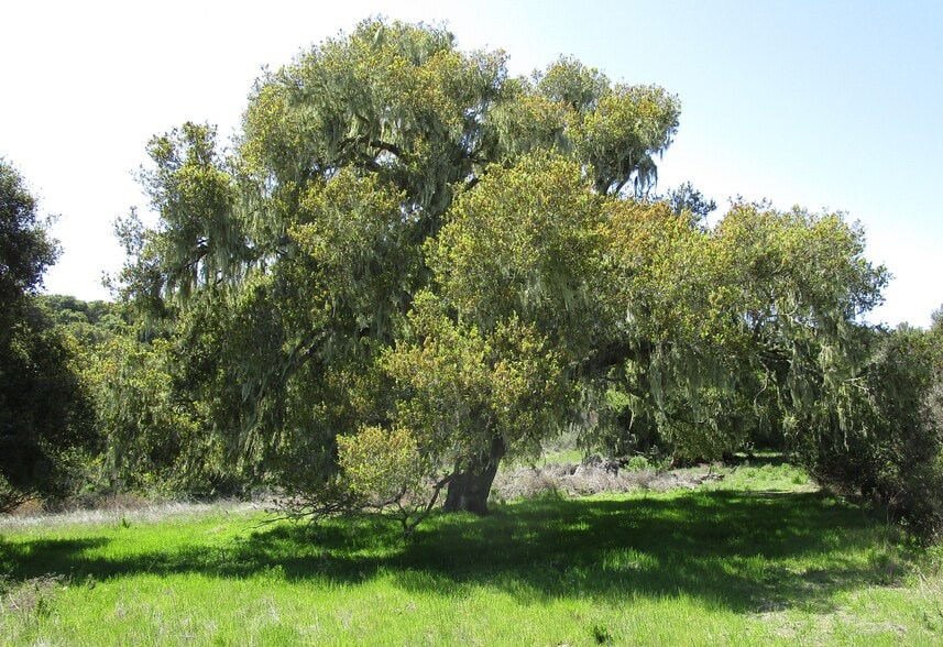 Monterra, Monterey, CA 93940